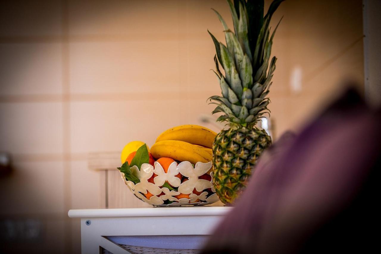 Apartments Marija Okrug Gornji Ngoại thất bức ảnh
